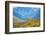 Guanacoes in Torres Del Paine National Park-encrier-Framed Photographic Print