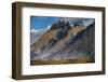 Guanacos Grazing with Cuernos Del Paine Peaks in the Background-Jay Goodrich-Framed Photographic Print