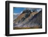 Guanacos Grazing with Cuernos Del Paine Peaks in the Background-Jay Goodrich-Framed Photographic Print