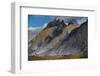 Guanacos Grazing with Cuernos Del Paine Peaks in the Background-Jay Goodrich-Framed Photographic Print