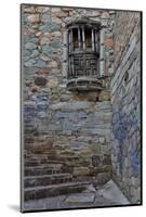 Guanajuato in Central Mexico. Small alley with stairs-Darrell Gulin-Mounted Photographic Print