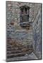 Guanajuato in Central Mexico. Small alley with stairs-Darrell Gulin-Mounted Photographic Print