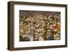 Guanajuato-Craig Lovell-Framed Photographic Print