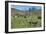 Guanakos (Lama Guanicoe), Torres Del Paine National Park, Patagonia, Chile, South America-Michael Runkel-Framed Photographic Print