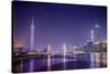 Guangzhou, China Skyline on the Pearl River.-SeanPavonePhoto-Stretched Canvas