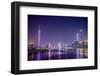 Guangzhou, China Skyline on the Pearl River.-SeanPavonePhoto-Framed Photographic Print