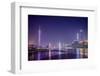 Guangzhou, China Skyline on the Pearl River.-SeanPavonePhoto-Framed Photographic Print