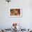 Guanyin Buddha at Yong Fu Temple with Rich Decorations in a Wide Angle Perspective-Andreas Brandl-Framed Photographic Print displayed on a wall