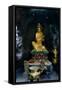 Guanyin Goddess-Charles Bowman-Framed Stretched Canvas