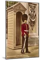 Guard at Buckingham Palace, London, England-null-Mounted Art Print