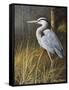 Guard at Water's Edge-Trevor V. Swanson-Framed Stretched Canvas