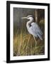 Guard at Water's Edge-Trevor V. Swanson-Framed Giclee Print