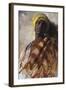 Guard of a Harem-Frank Duveneck-Framed Art Print