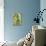 Guardabarranco (Turquoise-Browed Motmot)-Rob Francis-Photographic Print displayed on a wall