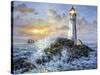 Guardian in Danger's Realm-Nicky Boehme-Stretched Canvas