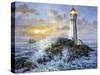 Guardian in Danger's Realm-Nicky Boehme-Stretched Canvas