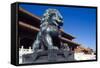 Guardian Lion at Forbidden City on Tiananmen Square, Imperial Palace, Beijing, Dongcheng District,-Dallas and John Heaton-Framed Stretched Canvas