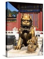 Guardian Lion at Forbidden City on Tiananmen Square, Imperial Palace, Beijing, Dongcheng District,-Dallas and John Heaton-Stretched Canvas