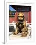 Guardian Lion at Forbidden City on Tiananmen Square, Imperial Palace, Beijing, Dongcheng District,-Dallas and John Heaton-Framed Premium Photographic Print