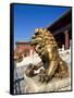 Guardian Lion at Forbidden City on Tiananmen Square, Imperial Palace, Beijing, Dongcheng District,-Dallas and John Heaton-Framed Stretched Canvas