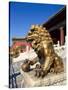 Guardian Lion at Forbidden City on Tiananmen Square, Imperial Palace, Beijing, Dongcheng District,-Dallas and John Heaton-Stretched Canvas