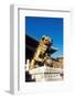 Guardian Lion at Forbidden City on Tiananmen Square, Imperial Palace, Beijing, Dongcheng District,-Dallas and John Heaton-Framed Photographic Print