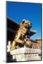 Guardian Lion at Forbidden City on Tiananmen Square, Imperial Palace, Beijing, Dongcheng District,-Dallas and John Heaton-Mounted Photographic Print