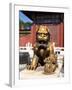 Guardian Lion at Forbidden City on Tiananmen Square, Imperial Palace, Beijing, Dongcheng District,-Dallas and John Heaton-Framed Photographic Print