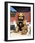 Guardian Lion at Forbidden City on Tiananmen Square, Imperial Palace, Beijing, Dongcheng District,-Dallas and John Heaton-Framed Photographic Print