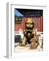 Guardian Lion at Forbidden City on Tiananmen Square, Imperial Palace, Beijing, Dongcheng District,-Dallas and John Heaton-Framed Photographic Print