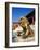 Guardian Lion at Forbidden City on Tiananmen Square, Imperial Palace, Beijing, Dongcheng District,-Dallas and John Heaton-Framed Photographic Print