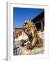 Guardian Lion at Forbidden City on Tiananmen Square, Imperial Palace, Beijing, Dongcheng District,-Dallas and John Heaton-Framed Photographic Print