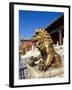 Guardian Lion at Forbidden City on Tiananmen Square, Imperial Palace, Beijing, Dongcheng District,-Dallas and John Heaton-Framed Photographic Print