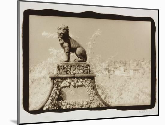 Guardian Lion-Theo Westenberger-Mounted Photographic Print