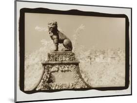 Guardian Lion-Theo Westenberger-Mounted Photographic Print