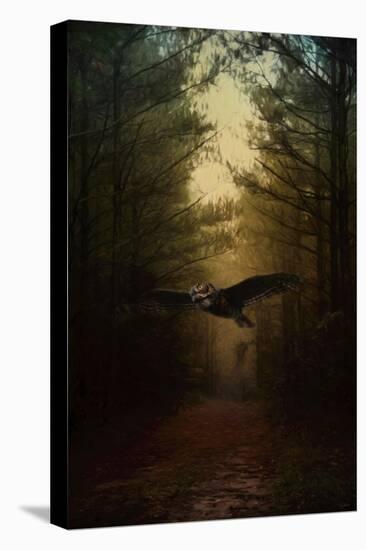 Guardian of the Forest-Jai Johnson-Stretched Canvas