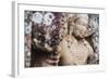 Guardian Statue at Thuparama Dagoba-Matthew Williams-Ellis-Framed Photographic Print