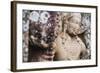 Guardian Statue at Thuparama Dagoba-Matthew Williams-Ellis-Framed Photographic Print