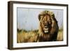 Guardian-Sydney Edmunds-Framed Giclee Print