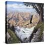 Guardians of the Canyon-John Van Straalen-Stretched Canvas