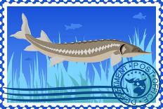 Postage Stamp. Sturgeon-GUARDING-OWO-Framed Stretched Canvas