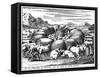 Guarding Sheep and Cattle at Night, South Africa, 18th Century-null-Framed Stretched Canvas