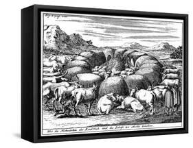 Guarding Sheep and Cattle at Night, South Africa, 18th Century-null-Framed Stretched Canvas