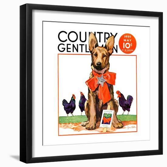 "Guarding the Garden," Country Gentleman Cover, May 1, 1935-Jene Klebe-Framed Premium Giclee Print