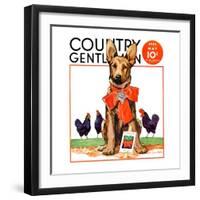 "Guarding the Garden," Country Gentleman Cover, May 1, 1935-Jene Klebe-Framed Giclee Print