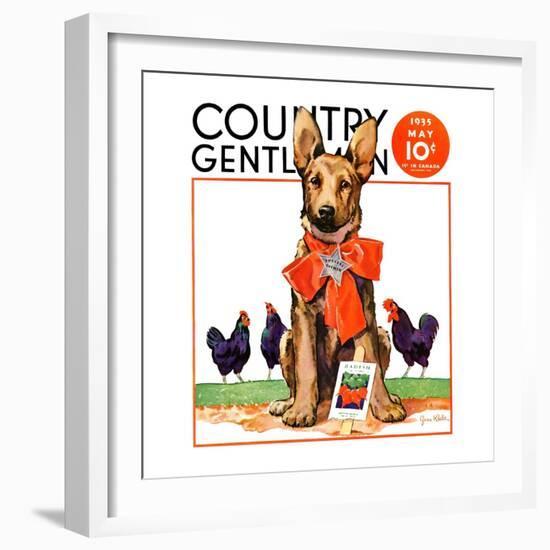 "Guarding the Garden," Country Gentleman Cover, May 1, 1935-Jene Klebe-Framed Giclee Print