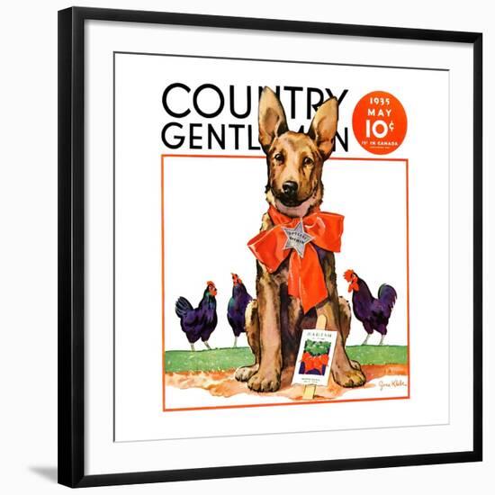 "Guarding the Garden," Country Gentleman Cover, May 1, 1935-Jene Klebe-Framed Giclee Print