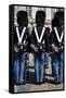 Guards at Amalienborg Royal Palace, Copenhagen, Denmark, Scandinavia, Europe-Yadid Levy-Framed Stretched Canvas