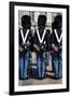 Guards at Amalienborg Royal Palace, Copenhagen, Denmark, Scandinavia, Europe-Yadid Levy-Framed Photographic Print