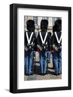 Guards at Amalienborg Royal Palace, Copenhagen, Denmark, Scandinavia, Europe-Yadid Levy-Framed Photographic Print